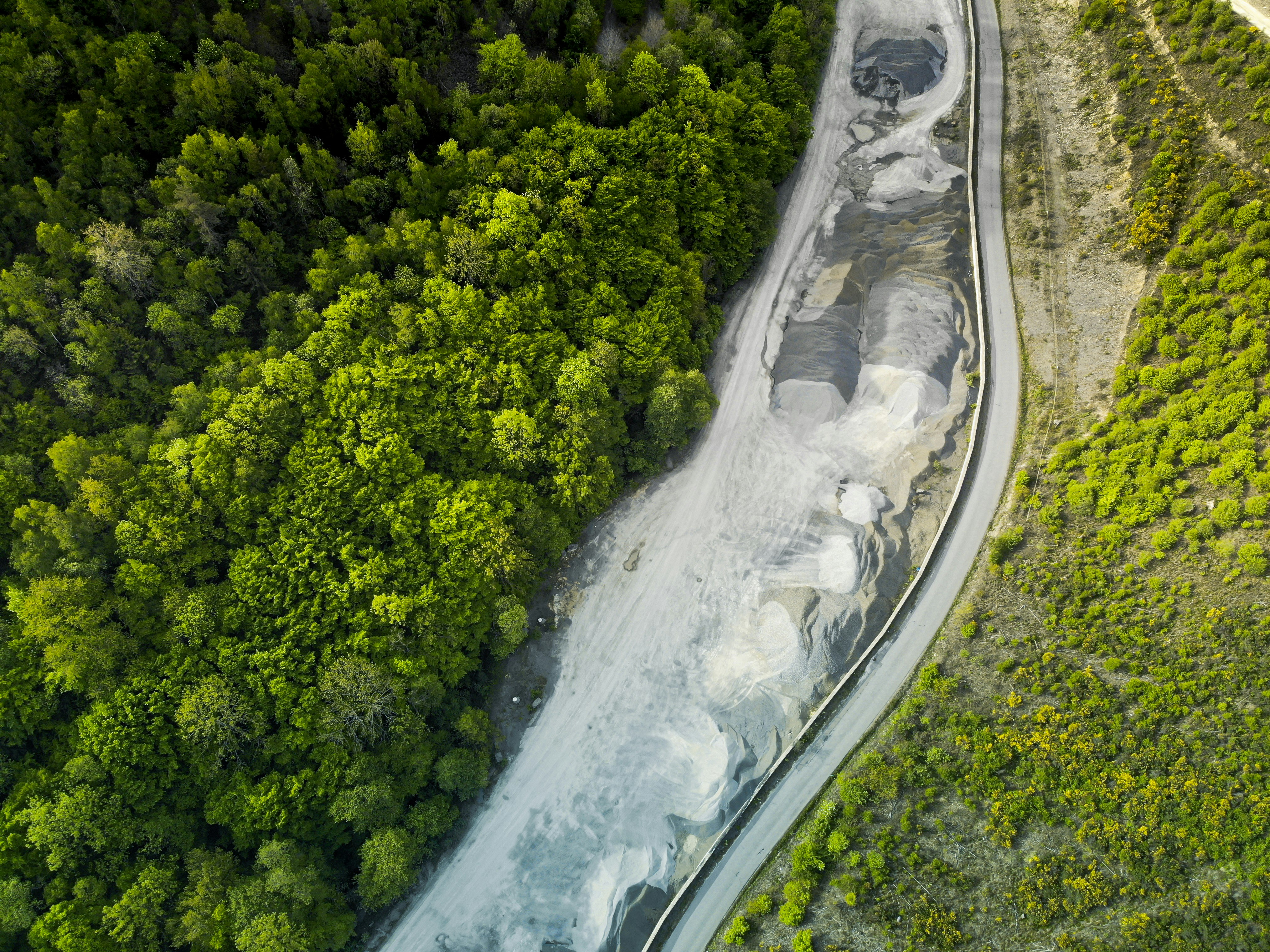 aerial view of green trees and road